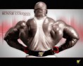 /album/ronnie-coleman/a736271-jpg/